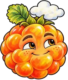 Cloudy Cloudberry, an original Pauli Broccoli character