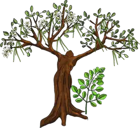 Malunggay Moringa, an original Pauli Broccoli character