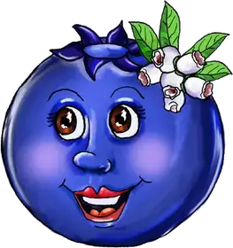 Mary Blueberry, an original Pauli Broccoli character