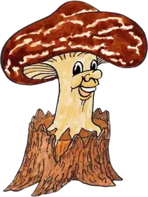 Saki Shiitake, an original Pauli Broccoli character